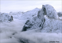 2003 Fuji Velvia Film