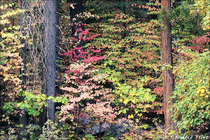 2001 Fuji Velvia Film