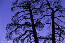 2002 Fuji Velvia Film