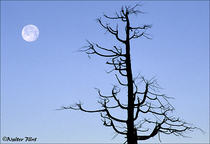 2004 Fuji Velvia Film