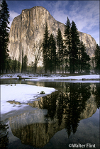 2002 Fuji Velvia Film