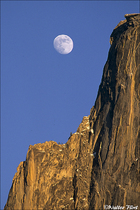 2005 Fuji Velvia Film