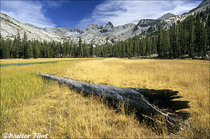 2002 Fuji Velvia Film