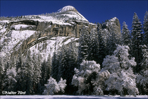 2003 Fuji Velvia Film