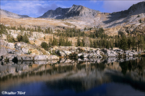 2003 Fuji Velvia Film