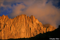 1993 Fuji Velvia Film