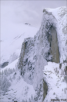 2003 Fuji Velvia Film