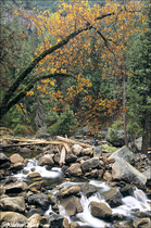 2004 Fuji Velvia Film