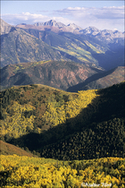 v1995 Fuji Velvia Film