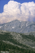 2002 Fuji Velvia Film