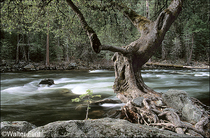 2001 Fuji Velvia Film