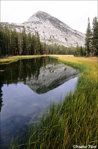 2002 Fuji Velvia Film