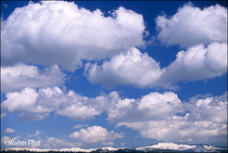 2004 Fuji Velvia Film