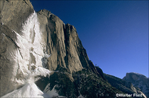 2003 Fuji Velvia Film