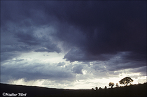 1994 Kodak Kodachrome 25 Film