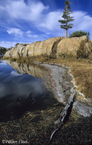 2002 Fuji Velvia Film