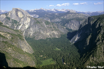 2002 Fuji Velvia Film