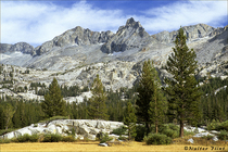 2002 Fuji Velvia Film