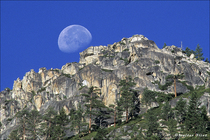 2004 Fuji Velvia Film