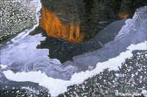 2006 Fuji Velvia Film