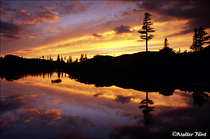 1999 Fuji Velvia Film