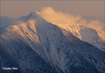 1995 Fuji Velvia Film