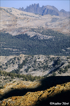 2005 Fuji Velvia Film