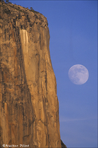 2005 Fuji Velvia Film