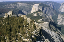 1993 Fuji Velvia Film