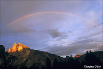 2003 Fuji Velvia Film